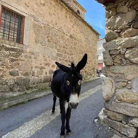 Hébergement de vacances La Joya *